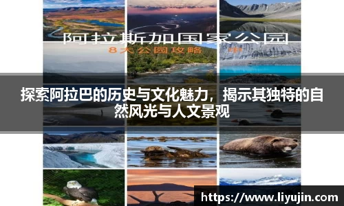百达官网注册
